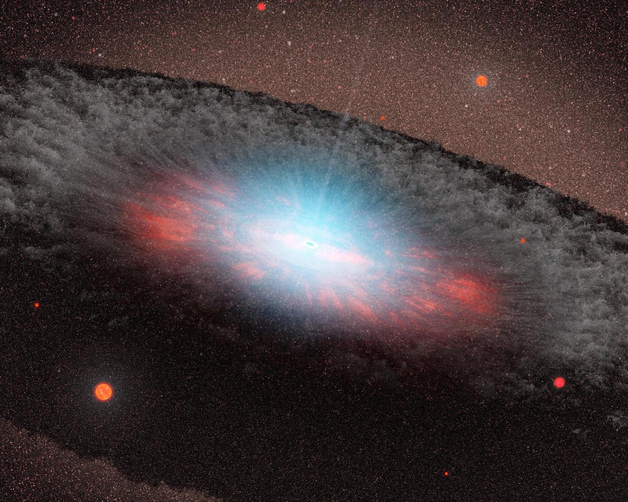 cosmos